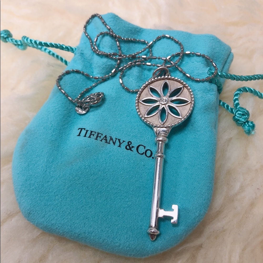 Brand new Tiffany and Co. necklace